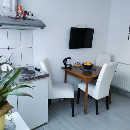 Apartman Zoric &