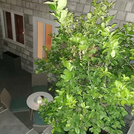 Apartman Zoric & *