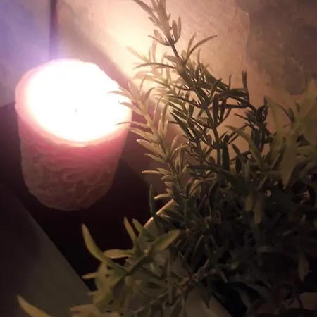 Zoric & アパート ドゥブロブニク